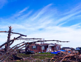 Disaster Recovery Loans: The Role of Government in Rebuilding Homes and Businesses